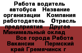 Работа водитель автобуса › Название организации ­ Компания-работодатель › Отрасль предприятия ­ Другое › Минимальный оклад ­ 45 000 - Все города Работа » Вакансии   . Пермский край,Гремячинск г.